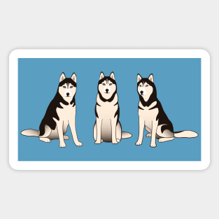 Husky Dogs Magnet